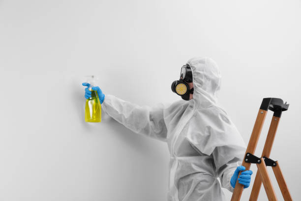 Why You Should Choose Our Mold Remediation Services in Prairie Grove, AR